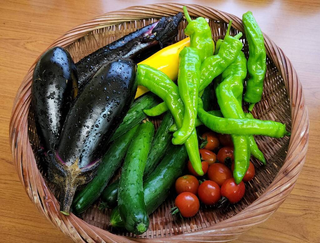 畑の夏野菜でピザ作り