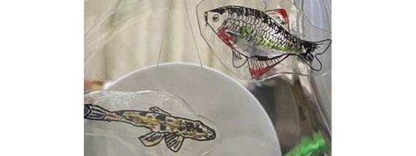 自分だけのミニとよはくアクアリウムを作ろう！